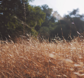 云开体育app登录入口-欧预赛：葡萄牙队击败克罗地亚，晋级