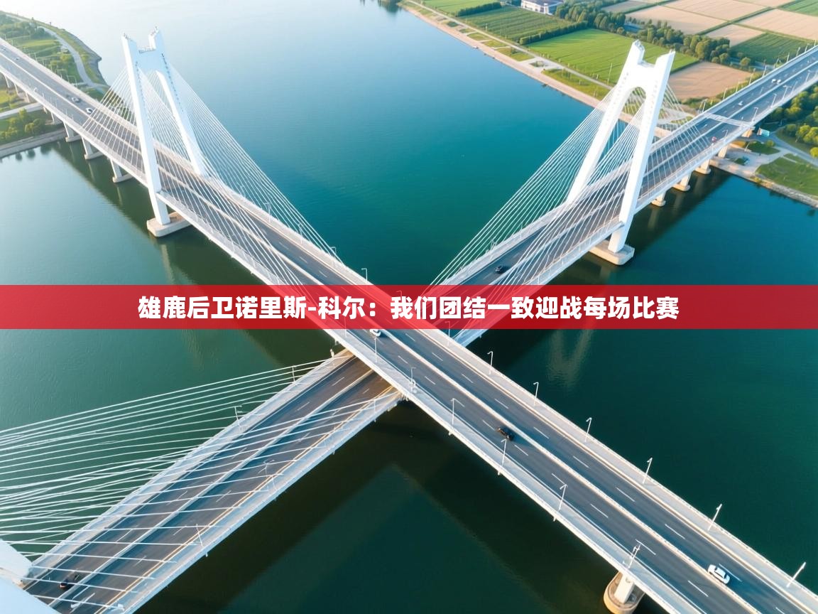 开云体育在线网址-雄鹿后卫诺里斯-科尔：我们团结一致迎战每场比赛  第1张