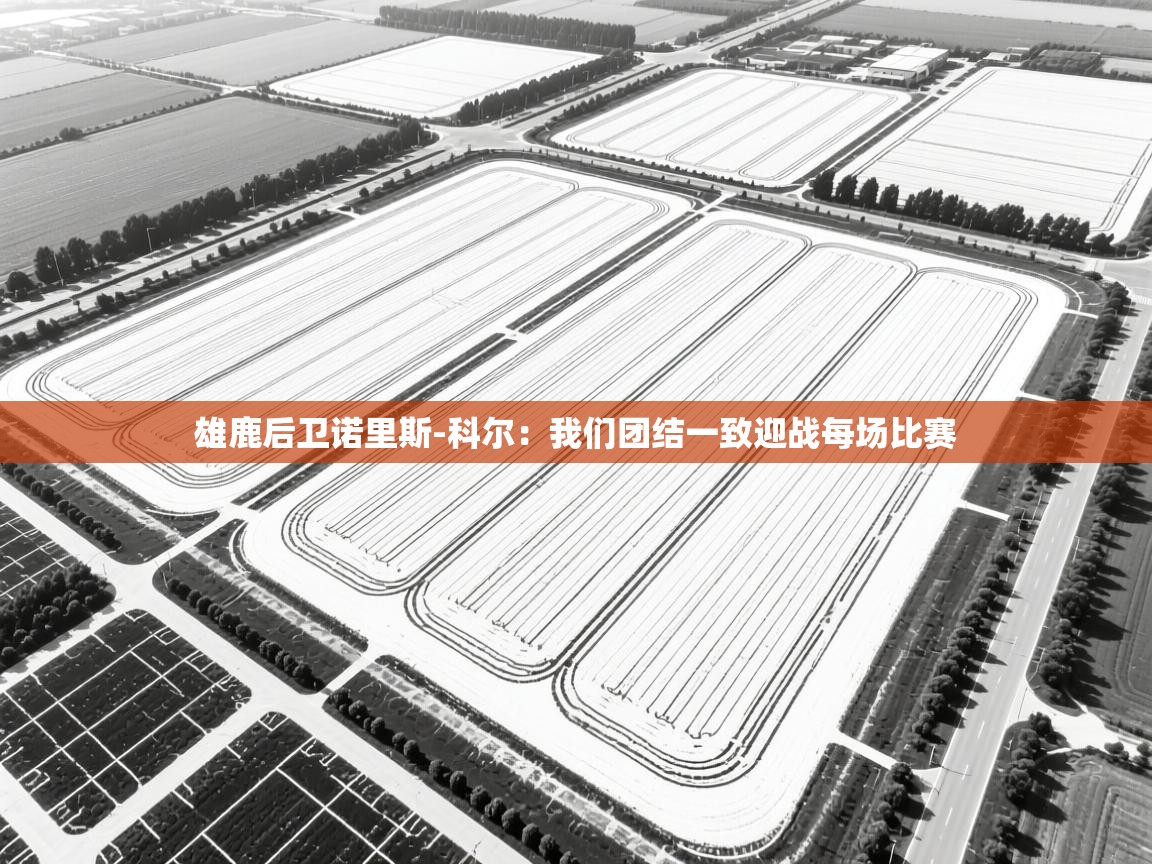 开云体育在线网址-雄鹿后卫诺里斯-科尔：我们团结一致迎战每场比赛  第2张