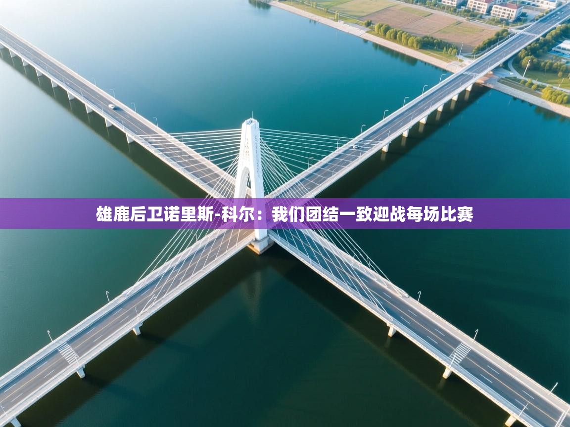 开云体育在线网址-雄鹿后卫诺里斯-科尔：我们团结一致迎战每场比赛  第3张