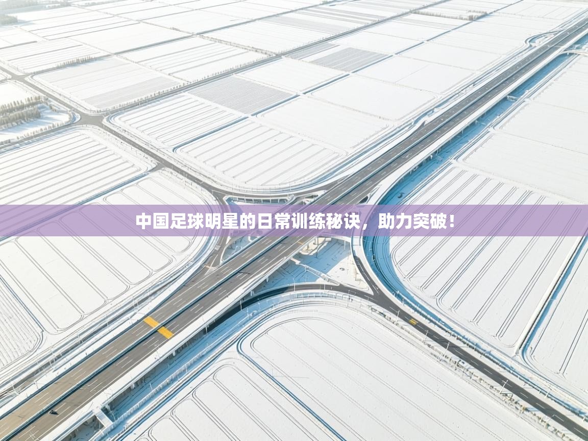 开云体育修改登录密码-中国足球明星的日常训练秘诀，助力突破！  第1张