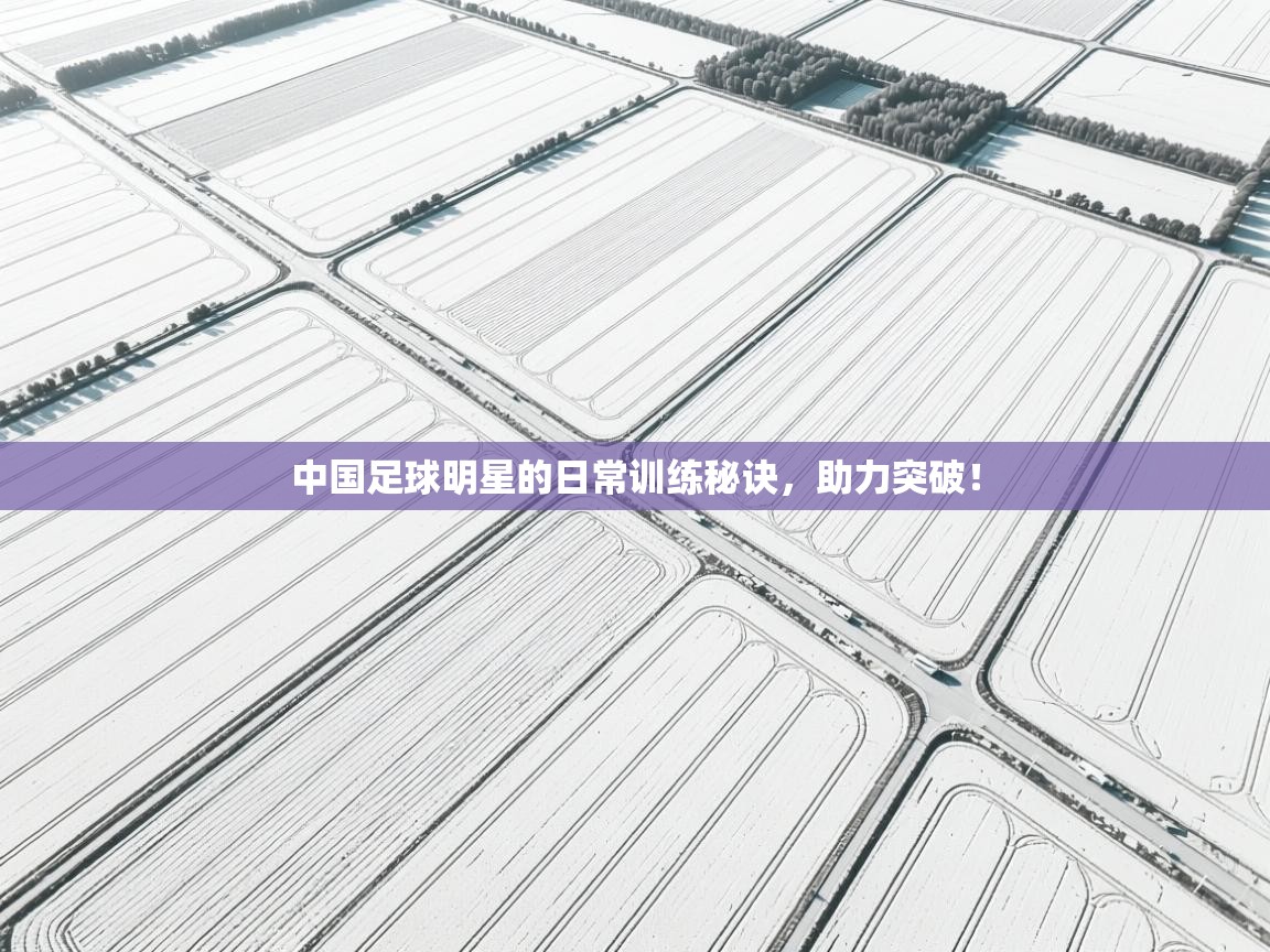 开云体育修改登录密码-中国足球明星的日常训练秘诀，助力突破！  第2张