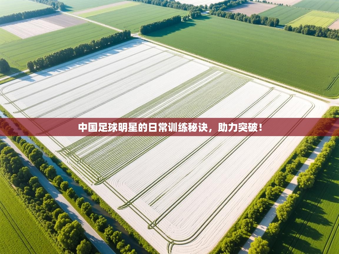 开云体育修改登录密码-中国足球明星的日常训练秘诀，助力突破！  第4张